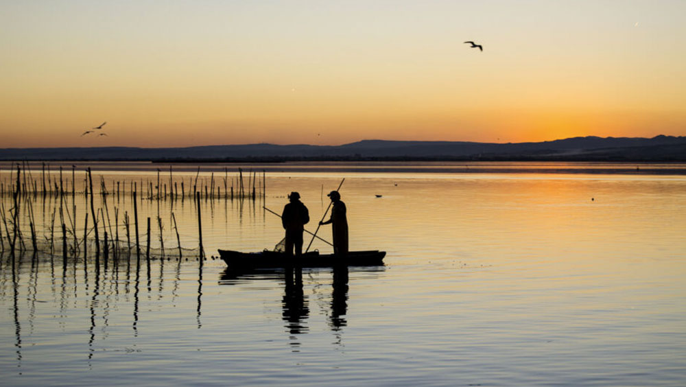 albufera